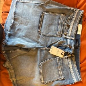 Judy Blue Light Blue Frayed Hem Jean Shorts